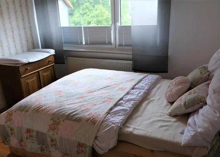 Urspruengliches Harzhaus Fuer Aktive In Feriehus